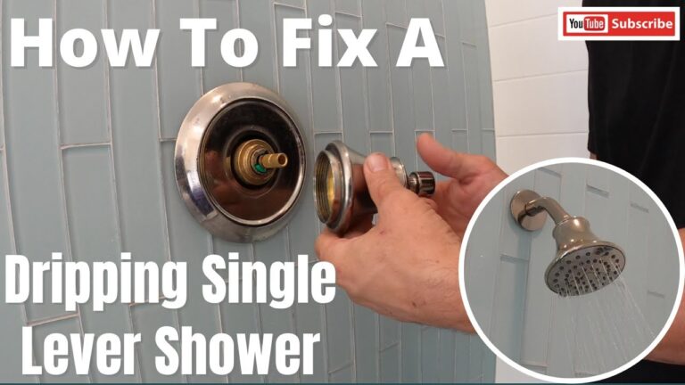 Troubleshooting and Fixing a Leaking Shower Handle